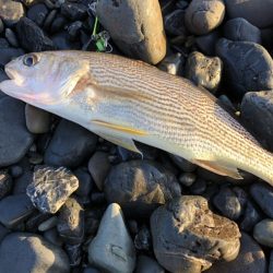 サーフ　ヒラメ狙いで・・・